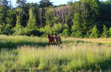 Fotografia intitulada "Wild West" por Jean Mirre, Obras de arte originais, Fotografia digital