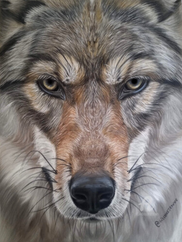 Painting titled "Loup" by Jeanne Gisclard, Original Artwork, Pastel