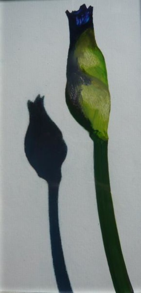 Peinture intitulée "iris bouton 7" par Jeanne Figueras, Œuvre d'art originale