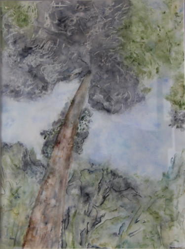 Painting titled "BORNEO" by Jeannette Allary, Original Artwork, Watercolor