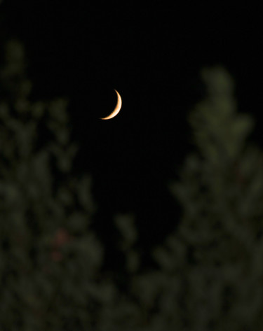 Fotografie mit dem Titel "LUNE  (1er quartier…" von Jeannette Allary, Original-Kunstwerk