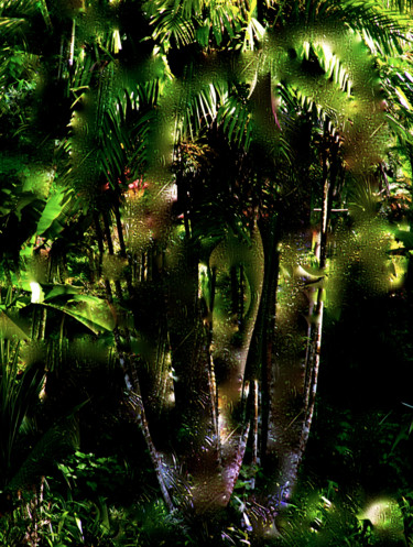 Photography titled "TROPICAL AMBIANCE" by Jeannette Allary, Original Artwork