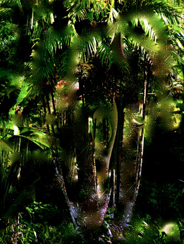 Fotografie getiteld "TROPICAL AMBIANCE" door Jeannette Allary, Origineel Kunstwerk