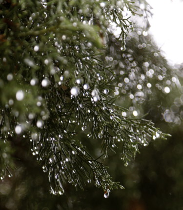 Photographie intitulée "DAME la PLUIE" par Jeannette Allary, Œuvre d'art originale