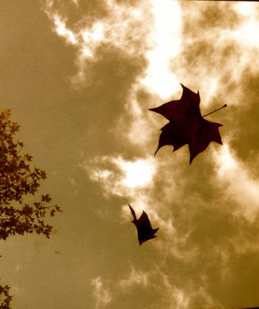 Photographie intitulée "OU VAS-TU ?" par Jeannette Allary, Œuvre d'art originale