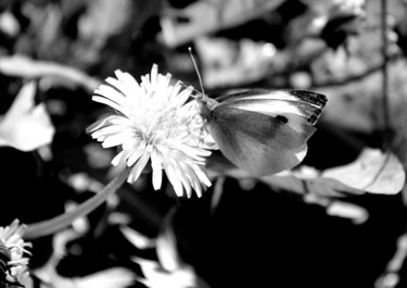 Photographie intitulée "RENCONTRE ET PLUS S…" par Jeannette Allary, Œuvre d'art originale