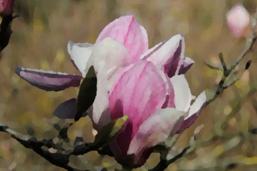 Digital Arts titled "MAGNOLIA ( Fleur )…" by Jeannette Allary, Original Artwork, Digital Painting