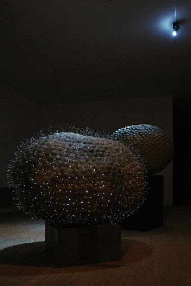 Escultura titulada "microcosme-macrocos…" por Jeanpaul Zak, Obra de arte original, Otro