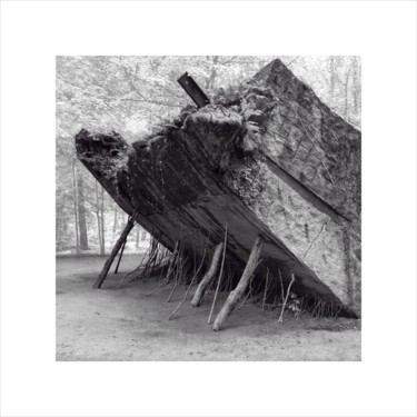 Photographie intitulée "La tanière du loup…" par Jeanpaul Zak, Œuvre d'art originale, Photographie numérique