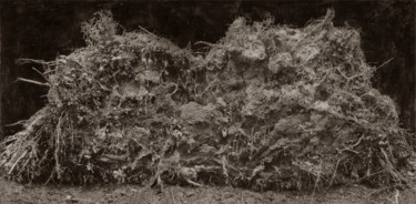 Fotografia intitolato "Cœur de forêt III "…" da Jeanpaul Zak, Opera d'arte originale, fotografia a pellicola