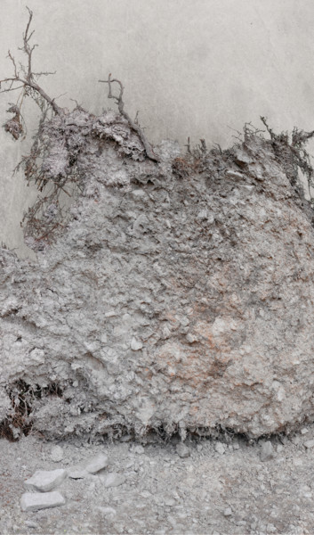 Cœur de forêt XI Photographie intitulée "Cœur de forêt XI" par Jeanpaul Zak, Œuvre d'art originale, Photographie argentique