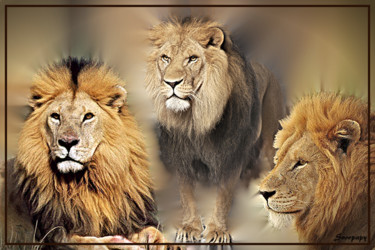 Arts numériques intitulée "Lions.jpg" par Jean-Pierre Gueret, Œuvre d'art originale, Photo montage