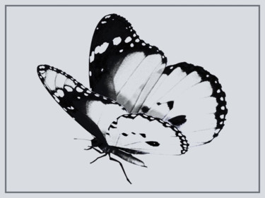 Arts numériques intitulée "Papillon N&B 1.jpg" par Jean-Pierre Gueret, Œuvre d'art originale, Photo montage