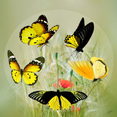 Arts numériques intitulée "La Ronde des Papill…" par Jean-Pierre Gueret, Œuvre d'art originale, Photo montage