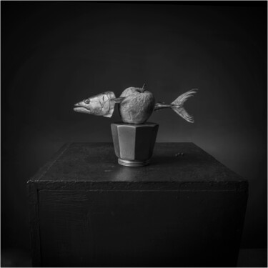"Photographiesjeantu…" başlıklı Fotoğraf Jean Turco tarafından, Orijinal sanat, Dijital Fotoğrafçılık Alüminyum üzerine mont…