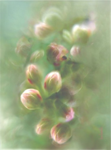 Photographie intitulée "Bouquet naturel" par Jea., Œuvre d'art originale