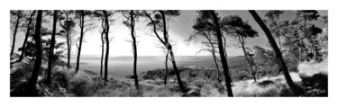 Photographie intitulée "pineta delle isole…" par Jebell, Œuvre d'art originale, Photographie numérique