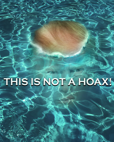 Digitale Kunst mit dem Titel "This is Not a Hoax!" von Jeff Griffiths, Original-Kunstwerk, Fotomontage