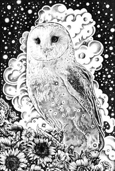 Desenho intitulada "OWL" por Jeff Grimal, Obras de arte originais, Lápis