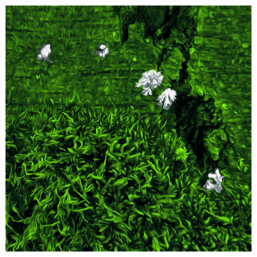 Digitale Kunst mit dem Titel "Lotus blanc" von Jeff, Original-Kunstwerk, 2D digitale Arbeit