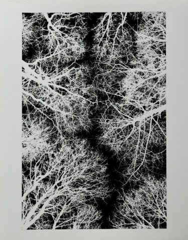 Painting titled "Canopy" by Jeff, Original Artwork, Ink