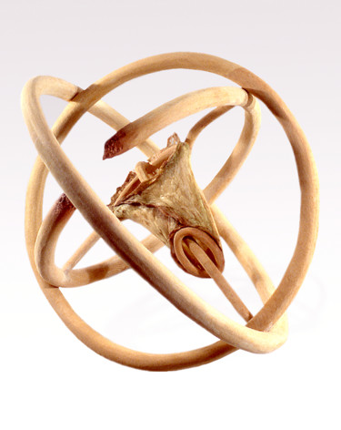 Vessel #27—Fusion Sculpture titled "Vessel #27—Fusion" by Jeff Key, Original Art, Wood