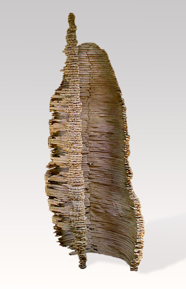 Skulptur mit dem Titel "Vessel #32—Witness" von Jeff Key, Original-Kunstwerk, Holz