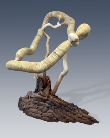 Sculptuur getiteld "Vessel #94—Harbinger" door Jeff Key, Origineel Kunstwerk, Hout