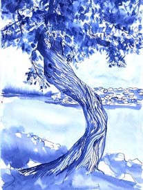 Drawing titled "oliv tree2" by Jelena Dabic, Original Artwork