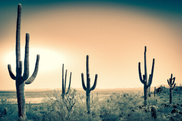 Fotografie getiteld "Saguaros in Sonora" door Jennifer Wright, Origineel Kunstwerk, Digitale fotografie