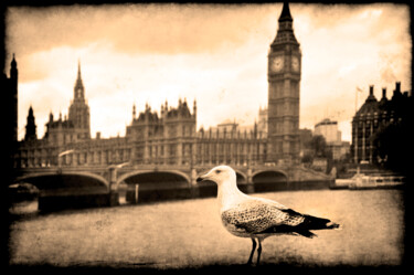 Fotografie mit dem Titel "Gull and Big Ben" von Jennifer Wright, Original-Kunstwerk, Digitale Fotografie