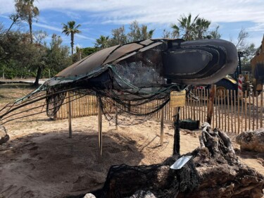 Escultura titulada "SAUVER IULII" por Jennifer Zalewski, Obra de arte original, Metales