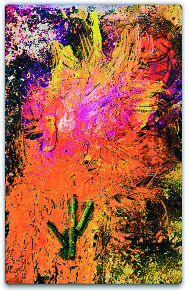 Painting titled "The Orange Flower -…" by Jenny Donta, Original Artwork, Acrylic