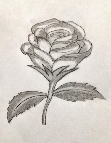 Drawing titled "rosejpg" by Guddu, Original Artwork, Pencil