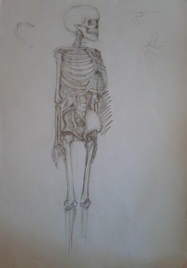 Dibujo titulada "Skeleton_" por Jenő Dienes, Obra de arte original, Lápiz