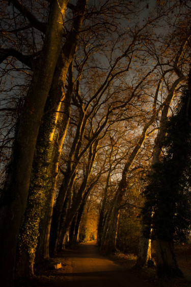 Photographie intitulée "le chemin des vents…" par Jean Paul Gougain, Œuvre d'art originale