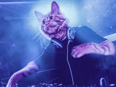 Arte digital titulada "Dj Cat Killer" por Jeremy Bourgois (Nyssop design), Obra de arte original, Fotografía manipulada