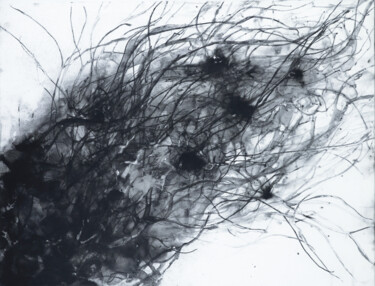 Картина под названием "Comet" - Jérémy Jacquin, Подлинное произведение искусства, Чернила Установлен на Деревянная рама для…