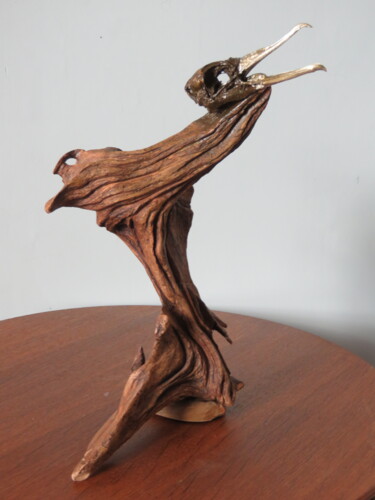 Sculpture intitulée "Head of gull on man…" par Jérôme Astruc, Œuvre d'art originale, Bois