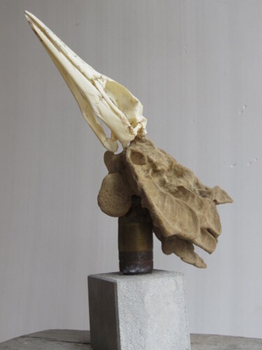 Γλυπτική με τίτλο "Head of cormorant,…" από Jérôme Astruc, Αυθεντικά έργα τέχνης, Mixed Media