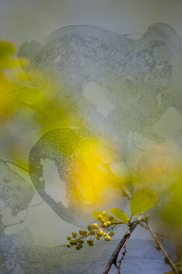 Фотография под названием "Another Sun" - Jerome Pergolesi, Подлинное произведение искусства, Цифровая фотография