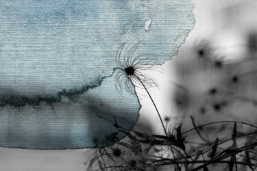 印花与版画 标题为“Azelie” 由Jerome Pergolesi, 原创艺术品, 数码摄影