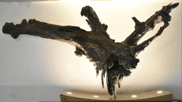 Skulptur mit dem Titel "Concave  By jja ber…" von Jja Berger, Original-Kunstwerk, Holz