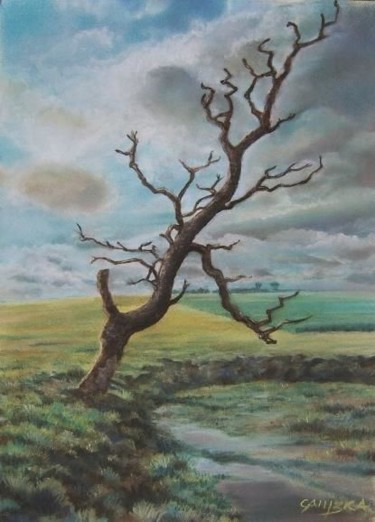 Peinture intitulée "L'arbre foudroyé" par Jérôme Cambra, Œuvre d'art originale, Pastel