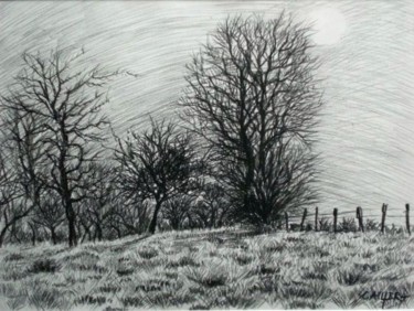 Dessin intitulée "Pâturage en hiver" par Jérôme Cambra, Œuvre d'art originale, Graphite