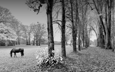 Photographie intitulée "Devant le château" par Jérôme Cambra, Œuvre d'art originale, Photographie numérique