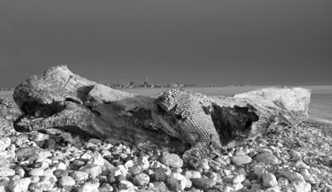 Photographie intitulée "Deuxième vie" par Jérôme Cambra, Œuvre d'art originale