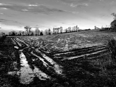 Photographie intitulée "Le champ après la p…" par Jérôme Cambra, Œuvre d'art originale