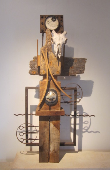 Sculpture intitulée "Arizona Dream" par Jérôme Danikowski, Œuvre d'art originale, Métaux