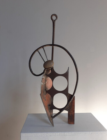 Sculptuur getiteld "Demoiselle 4" door Jérôme Danikowski, Origineel Kunstwerk, Metalen